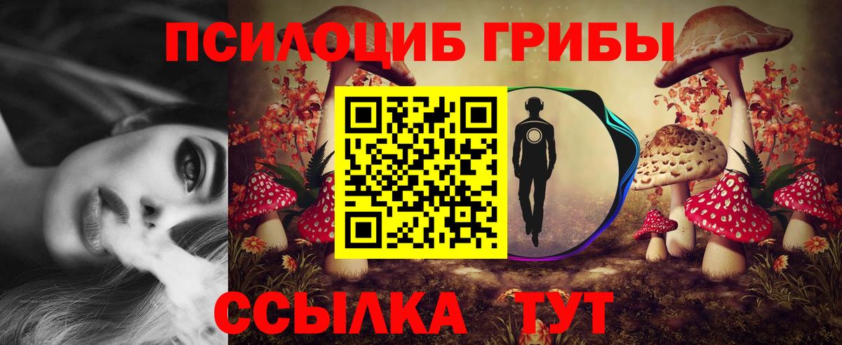 Псилоцибиновые грибы прущие грибы Семилуки